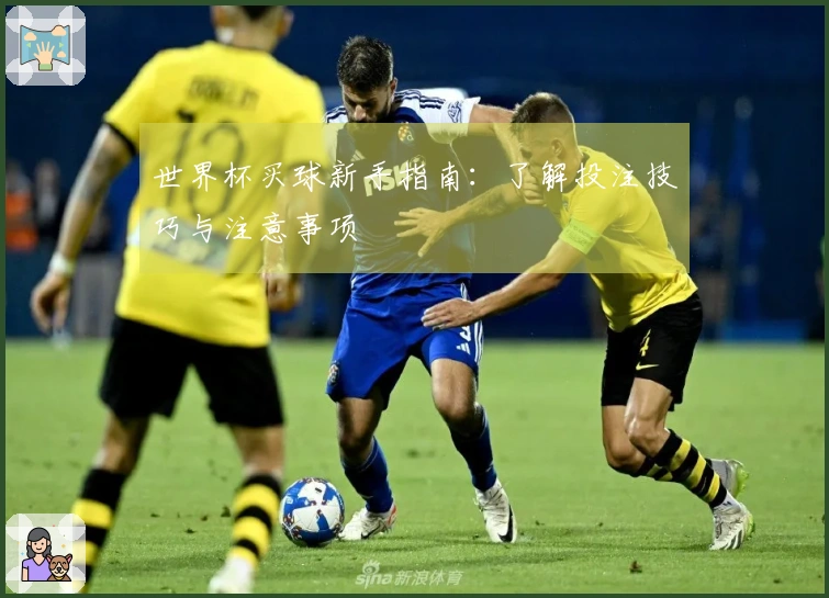 世界杯买球新手指南：了解投注技巧与注意事项