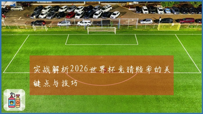 实战解析2026世界杯竞猜赔率的关键点与技巧