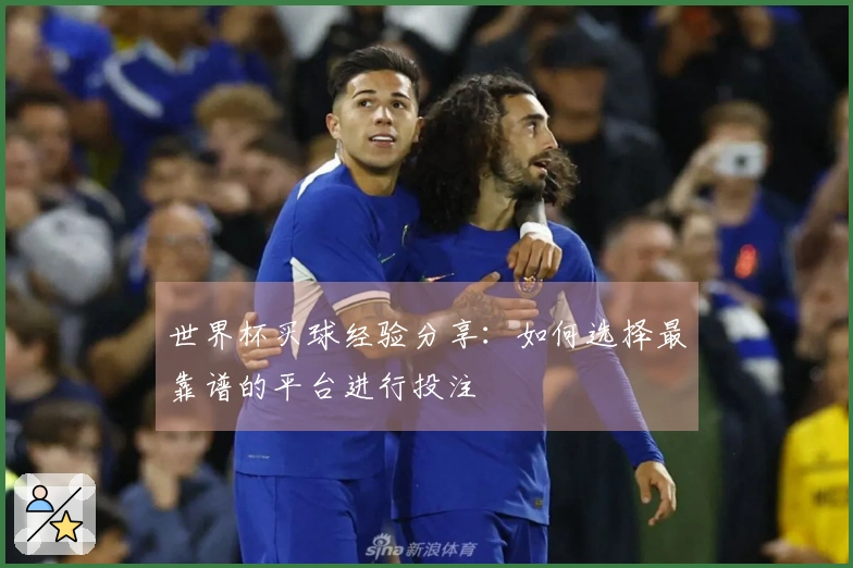 世界杯买球经验分享：如何选择最靠谱的平台进行投注