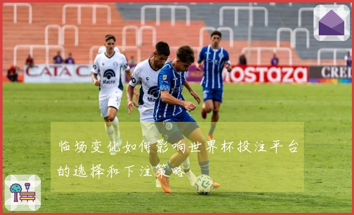 临场变化如何影响世界杯投注平台的选择和下注策略