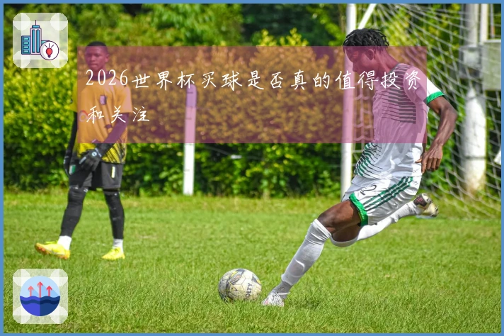 2026世界杯买球是否真的值得投资和关注
