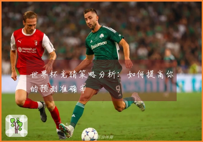 世界杯竞猜策略分析：如何提高你的预测准确率