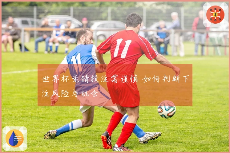 世界杯竞猜投注需谨慎 如何判断下注风险与机会