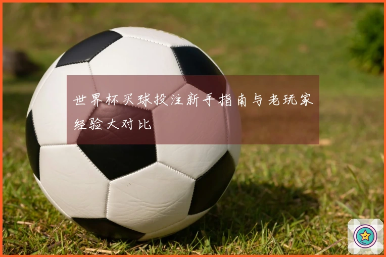 世界杯买球投注新手指南与老玩家经验大对比