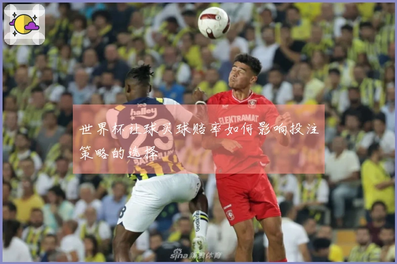 世界杯让球买球赔率如何影响投注策略的选择
