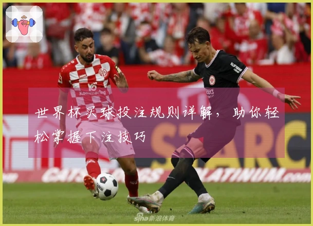世界杯买球投注规则详解，助你轻松掌握下注技巧