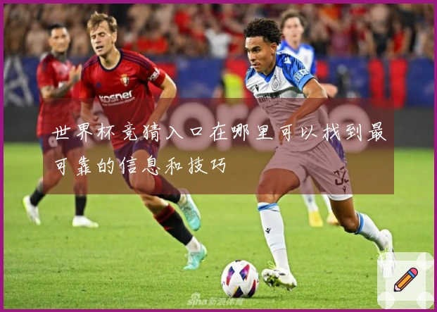 世界杯竞猜入口在哪里可以找到最可靠的信息和技巧