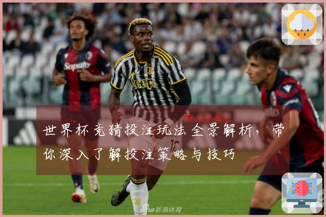 世界杯竞猜投注玩法全景解析，带你深入了解投注策略与技巧