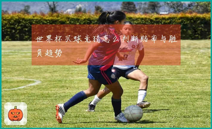 世界杯买球竞猜怎么判断赔率与胜负趋势