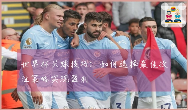 世界杯买球技巧：如何选择最佳投注策略实现盈利