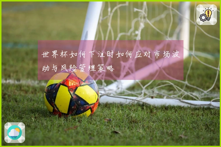 世界杯如何下注时如何应对市场波动与风险管理策略