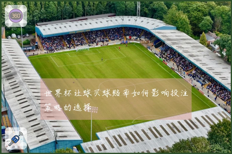 世界杯让球买球赔率如何影响投注策略的选择