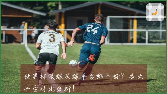 世界杯滚球买球平台哪个好？各大平台对比分析！