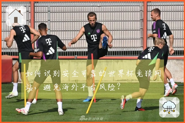 如何识别安全可靠的世界杯竞猜网站，避免海外平台风险？