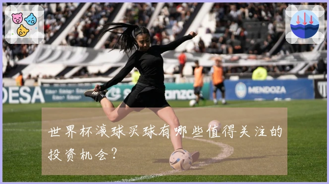 世界杯滚球买球有哪些值得关注的投资机会？