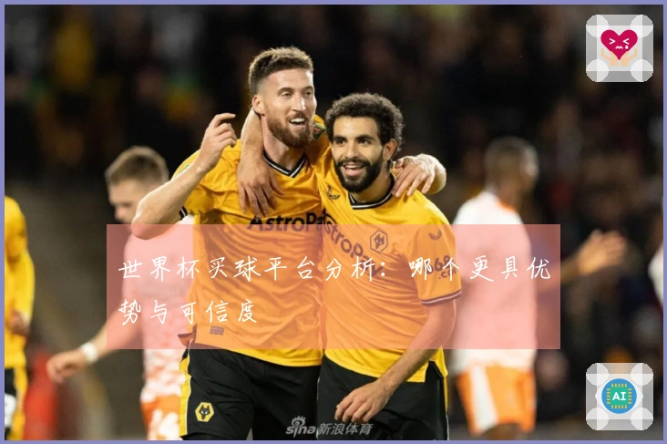 世界杯买球平台分析：哪个更具优势与可信度