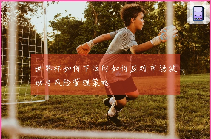 世界杯如何下注时如何应对市场波动与风险管理策略